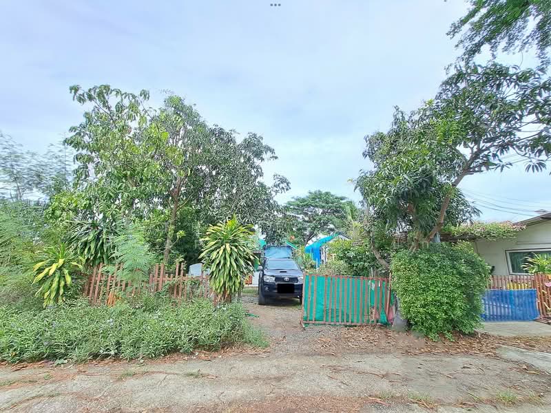 ที่ดินพุทธมณฑล นครปฐม, Nakhon Pathom, Khlong Yong, Phuttha Mon Thon, Nakhon Pathom, , 400 sqm, Land For Sale, by The Best Property เป๊ก, 500337344 - DDproperty.com