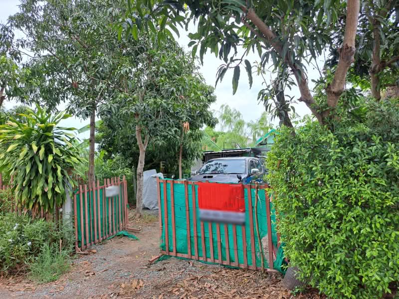 ที่ดินพุทธมณฑล นครปฐม, Nakhon Pathom, Khlong Yong, Phuttha Mon Thon, Nakhon Pathom, , 400 sqm, Land For Sale, by The Best Property เป๊ก, 500337344 - DDproperty.com