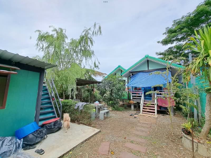 ที่ดินพุทธมณฑล นครปฐม, Nakhon Pathom, Khlong Yong, Phuttha Mon Thon, Nakhon Pathom, , 400 sqm, Land For Sale, by The Best Property เป๊ก, 500337344 - DDproperty.com