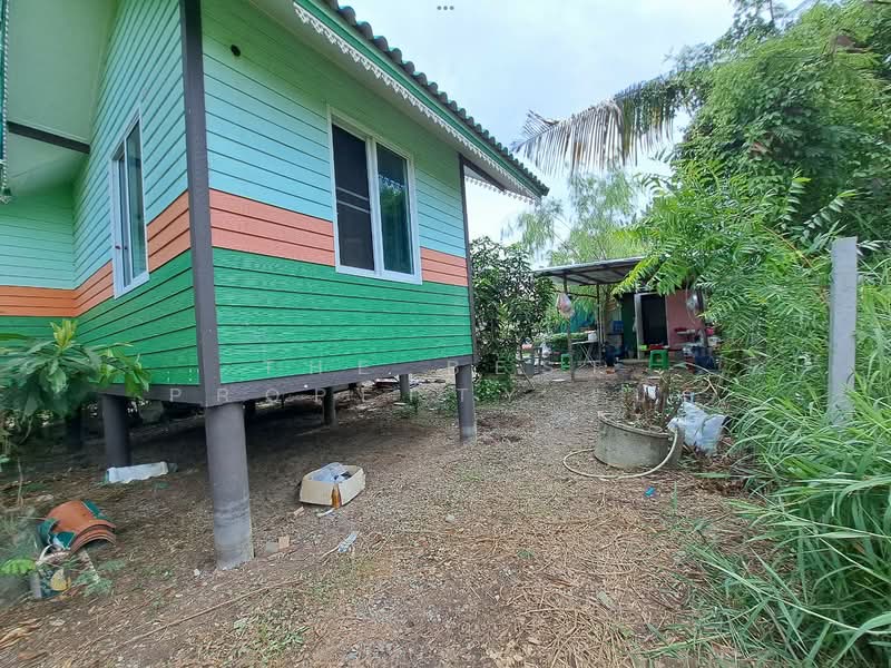 ที่ดินพุทธมณฑล นครปฐม, Nakhon Pathom, Khlong Yong, Phuttha Mon Thon, Nakhon Pathom, , 400 sqm, Land For Sale, by The Best Property เป๊ก, 500337344 - DDproperty.com