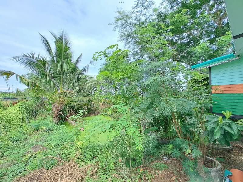 ที่ดินพุทธมณฑล นครปฐม, นครปฐม, คลองโยง, พุทธมณฑล, นครปฐม, 400 ตร.ม., ที่ดิน ขาย, โดย The Best Property เป๊ก, 500337344 - DDproperty.com