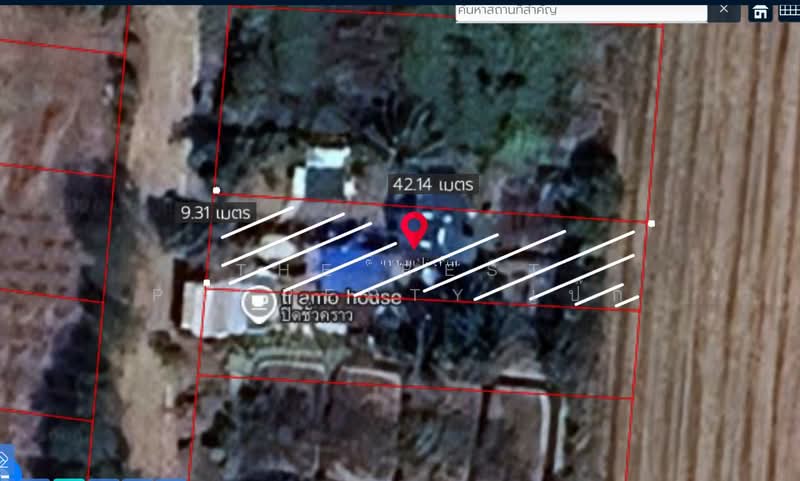 ที่ดินพุทธมณฑล นครปฐม, Nakhon Pathom, Khlong Yong, Phuttha Mon Thon, Nakhon Pathom, , 400 sqm, Land For Sale, by The Best Property เป๊ก, 500337344 - DDproperty.com