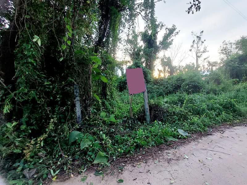 ที่ดินโพนพิสัย หนองคาย, Nong Khai, Chum Phon, Phon Phisai, Nong Khai, , 468 sqm, Land For Sale, by The Best Property เป้า, 500337348 - DDproperty.com