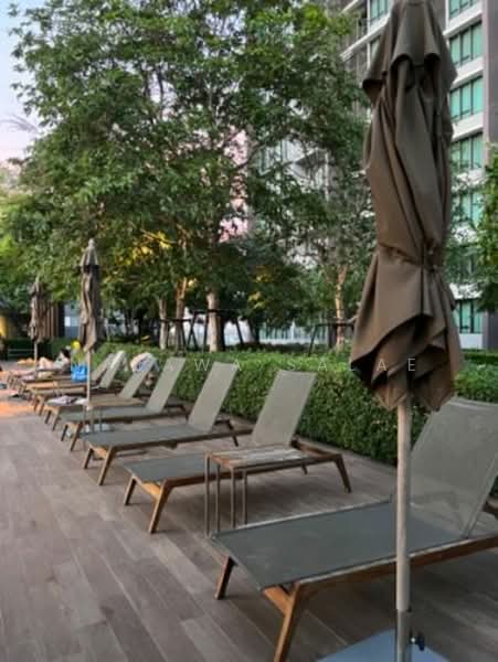 333 Riverside, Bangkok, 333 Pracharat Sai 2, Bang Sue, Bangkok, 1 Bedroom, 46 sqm, Condo For Rent, by Najawa Salae, 500337419 - DDproperty.com