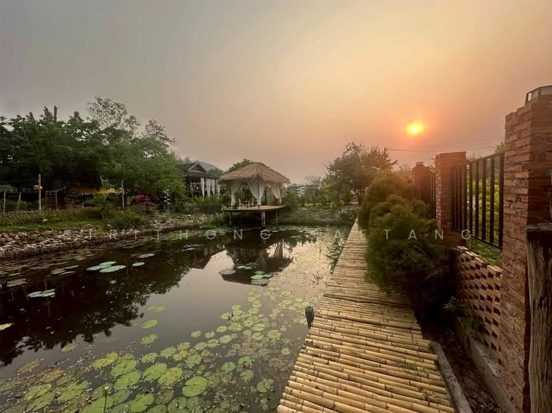 Homestay in Chiang Rai, Two houses 684 sq.wa with 5 Beds 11 Baths Near Rai Cherntawan, Chiang Rai, Huai Sak, Muang Chiang Rai, Chiang Rai, , 600 sqm, Business For Sale, by Sirithong Saetang, 500337509 - DDproperty.com