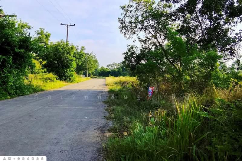 ที่ดินบ้านบะเสียว เนินสง่า 136.6 ตร.ว. ชัยภูมิ ใกล้โรงพยาบาลเนินสง่า AW-934636, ชัยภูมิ, หนองฉิม, เนินสง่า, ชัยภูมิ, 544 ตร.ม., ที่ดิน ขาย, โดย เบ็ญจวริณ ภัคเวทพิสิษฐ์(เบ็ญ), 500337804 - DDproperty.com