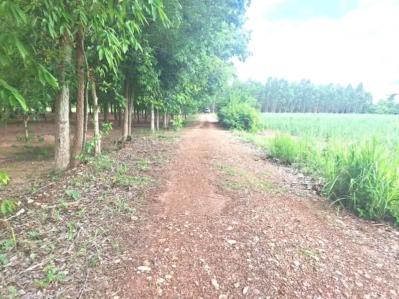 ขายที่ดินเปล่า 40-2-94 ไร่ ใกล้ที่ว่าการอำเภอเมืองสระแก้ว จ.สระแก้ว, Sa Kaeo, Khok Pi Khong, Muang Sa Kaeo, Sa Kaeo, , 65,176 sqm, Land For Sale, by Paiwong Onna-nam, 500337813 - DDproperty.com
