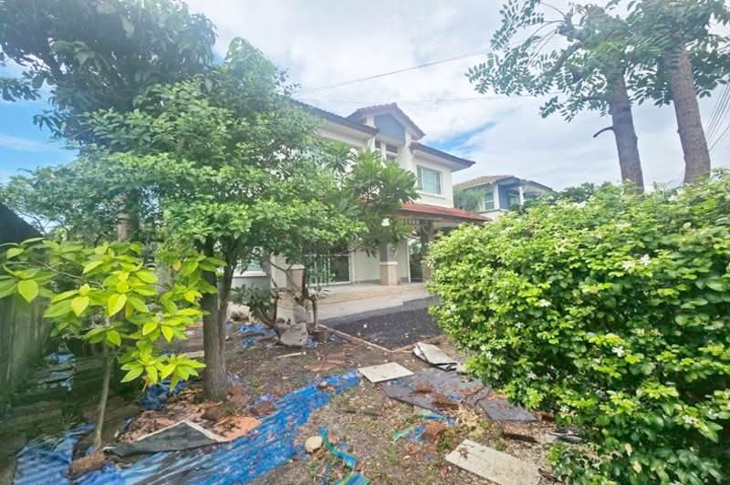 Prueklada Rangsit Klong 4 : พฤกษ์ลดา รังสิต คลอง 4, ปทุมธานี, ถนน ไสวประชาราษฎร์, ลาดสวาย, ลำลูกกา, ปทุมธานี, 143 ตร.ม., บ้านเดี่ยว ขาย, โดย คุณแจ่ม, 500337890 - DDproperty.com