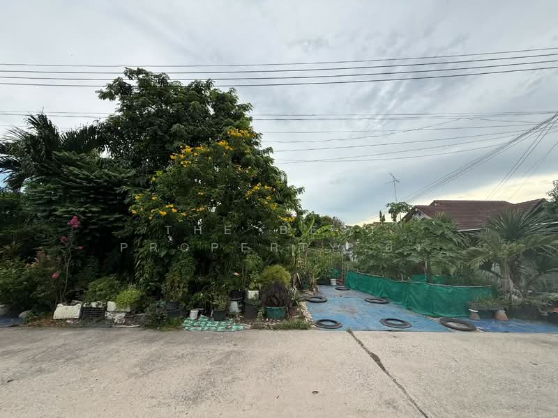 ที่ดินบ้านบึง ชลบุรี, ชลบุรี, บ้านบึง, ชลบุรี, 196 ตร.ม., ที่ดิน ขาย, โดย The Best Property อิง, 500337900 - DDproperty.com