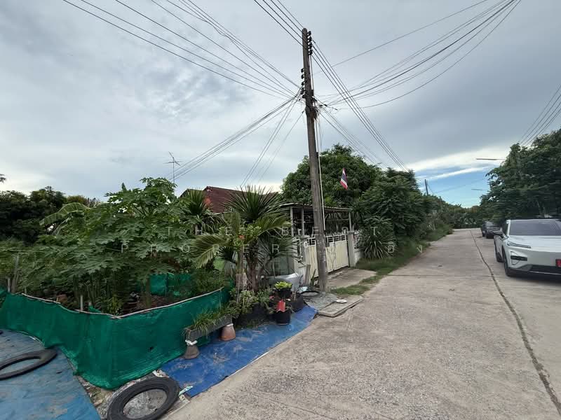 ที่ดินบ้านบึง ชลบุรี, ชลบุรี, บ้านบึง, ชลบุรี, 196 ตร.ม., ที่ดิน ขาย, โดย The Best Property อิง, 500337900 - DDproperty.com