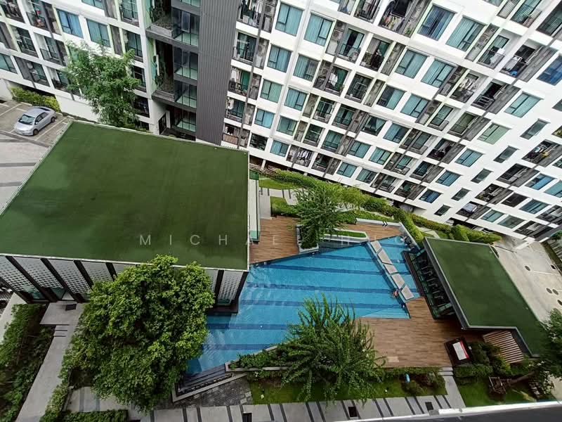 The Niche Mono Sukhumvit 50, Bangkok, Soi Loemcharen, Sukhumvit 50 Road, Phra Kanong, Khlong Toei, Bangkok, 1 Bedroom, 30 sqm, Condo For Rent, by Michael Huo, 500337924 - DDproperty.com