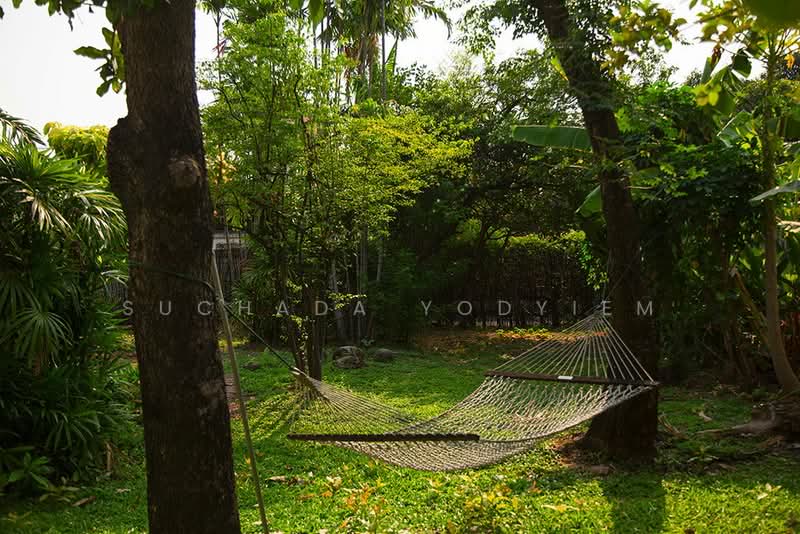 บ้าน 3-ห้องนอน, กรุงเทพ, ดินแดง, กรุงเทพ, 160 ตร.ม., บ้านเดี่ยว ขาย, โดย Suchada Yodyiem, 500337986 - DDproperty.com