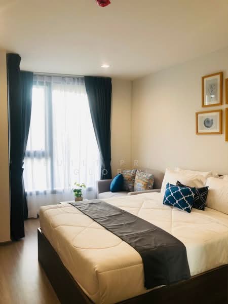 The Base Central, Phuket, Chao Fah Tawan Tok Rd, Wichit, Muang Phuket, Phuket, 1 Bedroom, 29 sqm, Condo For Rent, by Built Prime global, 500338145 - DDproperty.com