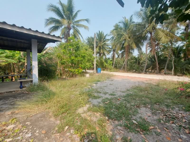 บ้านเดี่ยวดำเนินสะดวก ราชบุรี, Ratchaburi, Don Kruai, Damnoen Saduak, Ratchaburi, 3 Bedrooms, 400 sqm, Single Detached House For Sale, by The Best Property  อิ๋ว, 500338166 - DDproperty.com