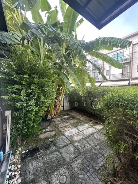 Baan Klang Muang Srinakarin – Onnut, Bangkok, 174 Soi On Nut 70/1, Prawet, Bangkok, 3 Bedrooms, 141 sqm, Townhouse For Rent, by Sunitra Sachdev, 500338226 - DDproperty.com