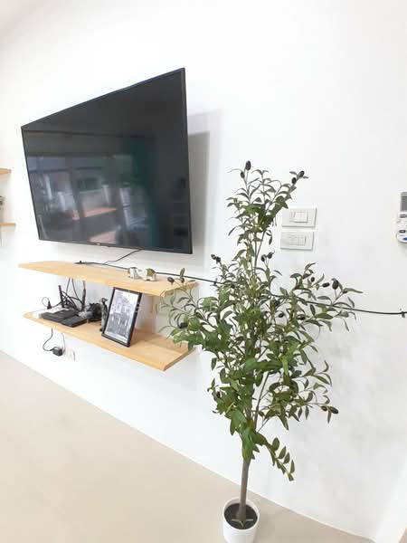 บ้านสวนอยู่เจริญ 5 ภูเก็ต, ภูเก็ต, ป่าคลอก, ถลาง, ภูเก็ต, 225 ตร.ม., บ้านเดี่ยว ให้เช่า, โดย Built Prime global, 500338227 - DDproperty.com
