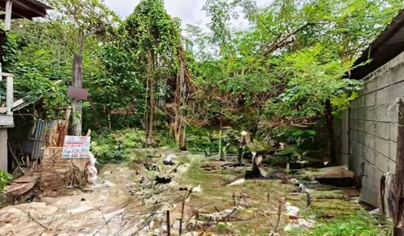 Phon Pradit Village, Bangkok, Phra Kanong, Khlong Toei, Bangkok, , 532 sqm, Land For Sale, by ชนะชาติ นนท์ตา, 500338234 - DDproperty.com