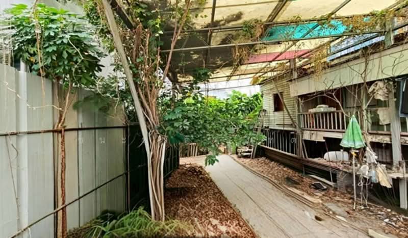 หมู่บ้านพรประดิษฐ์, กรุงเทพ, พระโขนง, คลองเตย, กรุงเทพ, 532 ตร.ม., ที่ดิน ขาย, โดย ชนะชาติ นนท์ตา, 500338234 - DDproperty.com