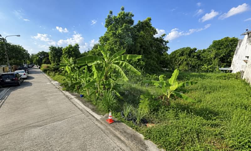 ที่ดินเปล่า 371 ตารางวา รามอินทรา 39 แยก 20, Bangkok, Tha Rang, Bang Khen, Bangkok, , 1,484 sqm, Land For Sale, by บริษัท เอชแอล แอสเซท จำกัด, 500338244 - DDproperty.com