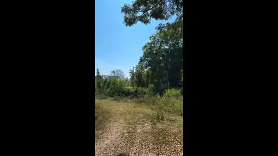 ขายที่ดิน ดอยสะเก็ด เชียงใหม่, Chiang Mai, Pa - Bong, Doi Saket, Chiang Mai, , 124,800 sqm, Land For Sale, by Wenyu Zhou, 500338295 - DDproperty.com