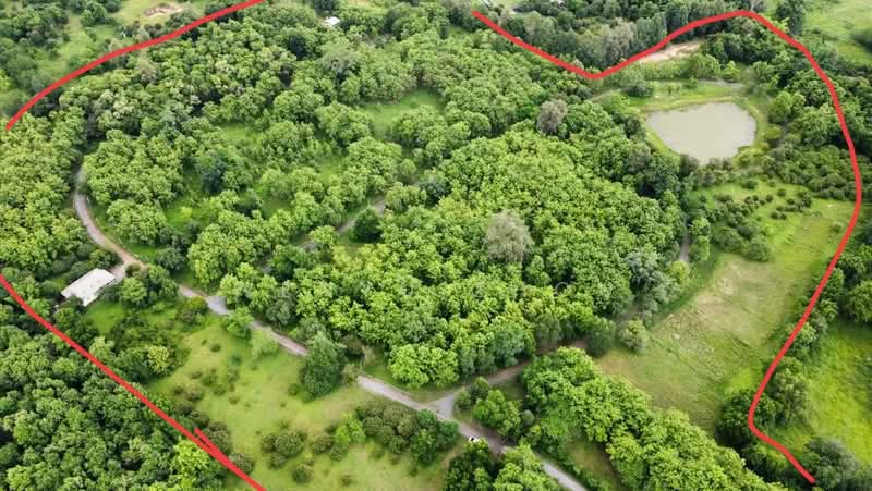 ขายที่ดิน ดอยสะเก็ด เชียงใหม่, Chiang Mai, Pa - Bong, Doi Saket, Chiang Mai, , 124,800 sqm, Land For Sale, by Wenyu Zhou, 500338295 - DDproperty.com