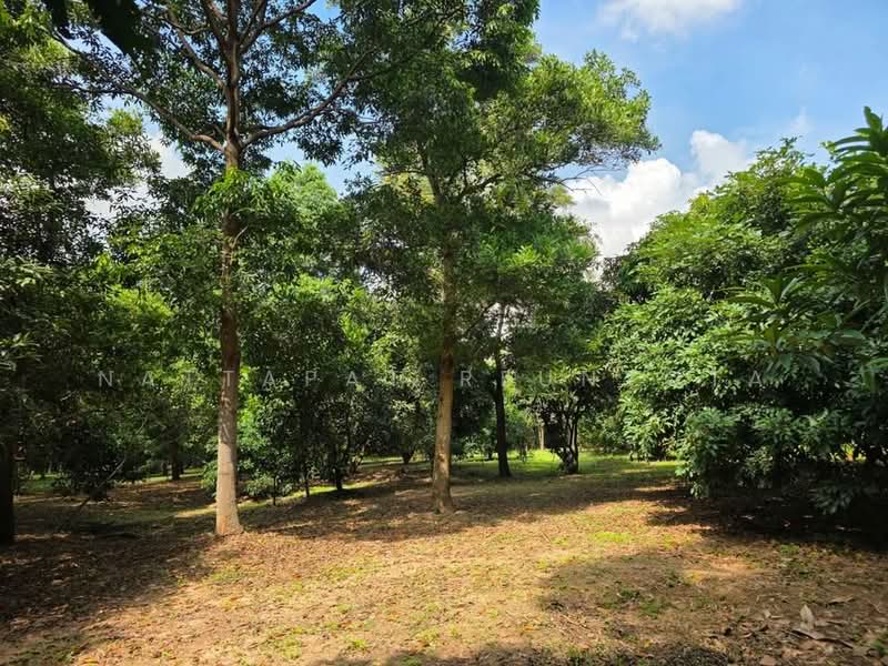 2-BR House, Bangkok, Praborommaharatchawang, Phra Nakhon, Bangkok, 2 Bedrooms, 93 sqm, Single Detached House For Sale, by Nattapat Reunyota, 500338298 - DDproperty.com