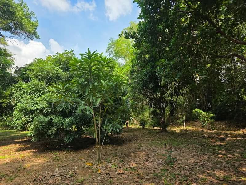 2-BR House, Bangkok, Praborommaharatchawang, Phra Nakhon, Bangkok, 2 Bedrooms, 93 sqm, Single Detached House For Sale, by Nattapat Reunyota, 500338298 - DDproperty.com