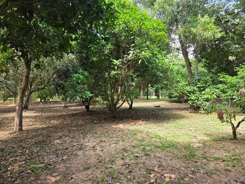 2-BR House, Bangkok, Praborommaharatchawang, Phra Nakhon, Bangkok, 2 Bedrooms, 93 sqm, Single Detached House For Sale, by Nattapat Reunyota, 500338298 - DDproperty.com