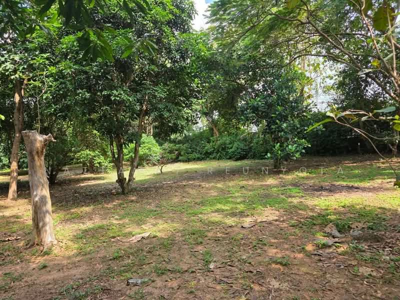 2-BR House, Bangkok, Praborommaharatchawang, Phra Nakhon, Bangkok, 2 Bedrooms, 93 sqm, Single Detached House For Sale, by Nattapat Reunyota, 500338298 - DDproperty.com
