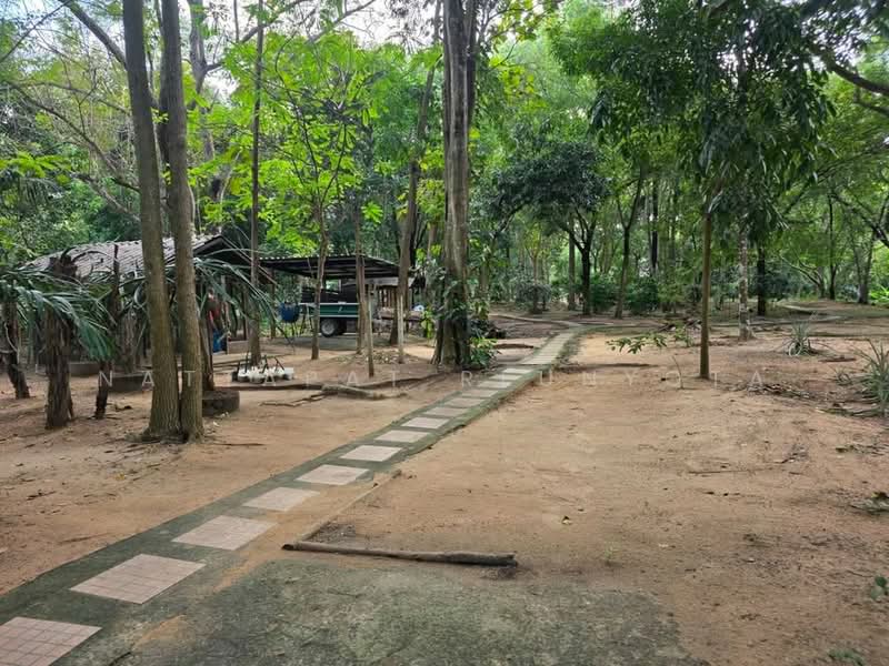 บ้าน 2-ห้องนอน, กรุงเทพ, พระบรมมหาราชวัง, พระนคร, กรุงเทพ, 93 ตร.ม., บ้านเดี่ยว ขาย, โดย Nattapat Reunyota, 500338298 - DDproperty.com