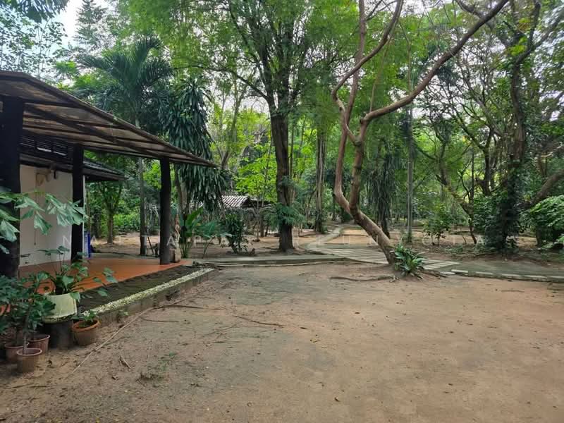 บ้าน 2-ห้องนอน, กรุงเทพ, พระบรมมหาราชวัง, พระนคร, กรุงเทพ, 93 ตร.ม., บ้านเดี่ยว ขาย, โดย Nattapat Reunyota, 500338298 - DDproperty.com