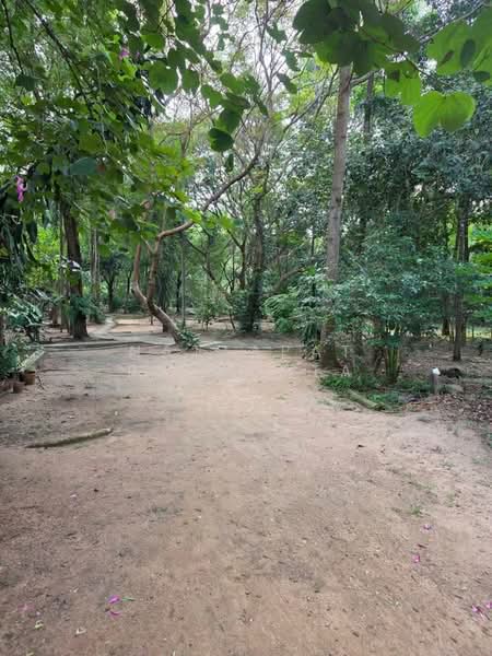 บ้าน 2-ห้องนอน, กรุงเทพ, พระบรมมหาราชวัง, พระนคร, กรุงเทพ, 93 ตร.ม., บ้านเดี่ยว ขาย, โดย Nattapat Reunyota, 500338298 - DDproperty.com