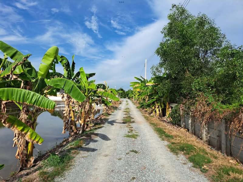 ที่ดินไทรน้อย นนทบุรี, นนทบุรี, ราษฎร์นิยม, ไทรน้อย, นนทบุรี, 1,452 ตร.ม., ที่ดิน ขาย, โดย The Best Property เป๊ก, 500338325 - DDproperty.com
