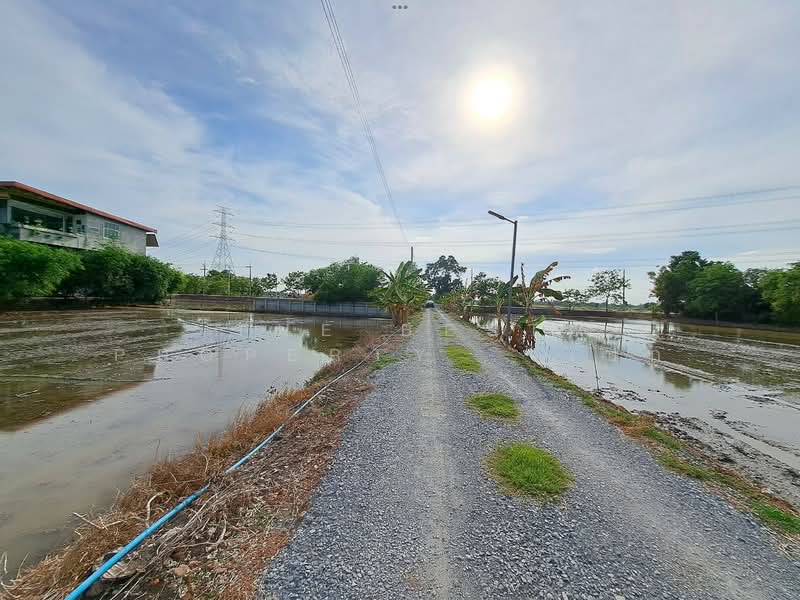 ที่ดินไทรน้อย นนทบุรี, Nonthaburi, Rat Niyom, Sai Noi, Nonthaburi, , 1,452 sqm, Land For Sale, by The Best Property   เป๊ก, 500338325 - DDproperty.com