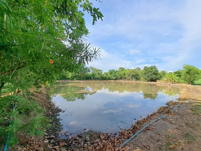 ที่ดินไทรน้อย นนทบุรี, นนทบุรี, ราษฎร์นิยม, ไทรน้อย, นนทบุรี, 1,452 ตร.ม., ที่ดิน ขาย, โดย The Best Property เป๊ก, 500338325 - DDproperty.com