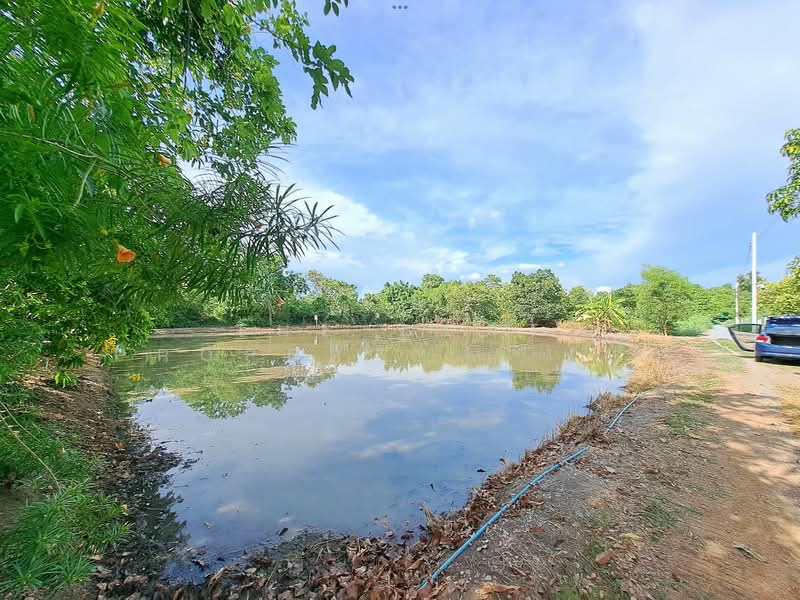 ที่ดินไทรน้อย นนทบุรี, Nonthaburi, Rat Niyom, Sai Noi, Nonthaburi, , 1,452 sqm, Land For Sale, by The Best Property   เป๊ก, 500338325 - DDproperty.com