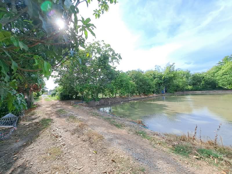 ที่ดินไทรน้อย นนทบุรี, Nonthaburi, Rat Niyom, Sai Noi, Nonthaburi, , 1,452 sqm, Land For Sale, by The Best Property   เป๊ก, 500338325 - DDproperty.com