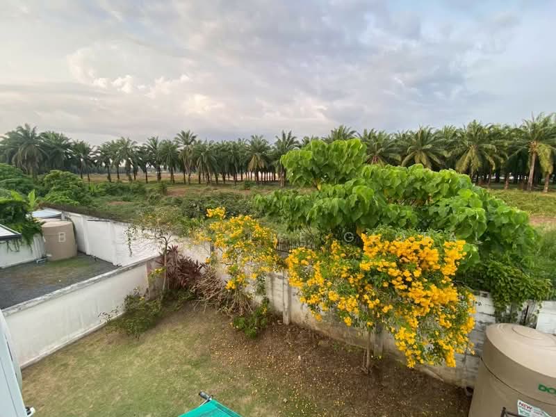 Supalai Bella Ko Kaeo, Phuket, Ko Kaeo, Muang Phuket, Phuket, 3 Bedrooms, 120 sqm, Single Detached House For Rent, by Built Prime global, 500338410 - DDproperty.com