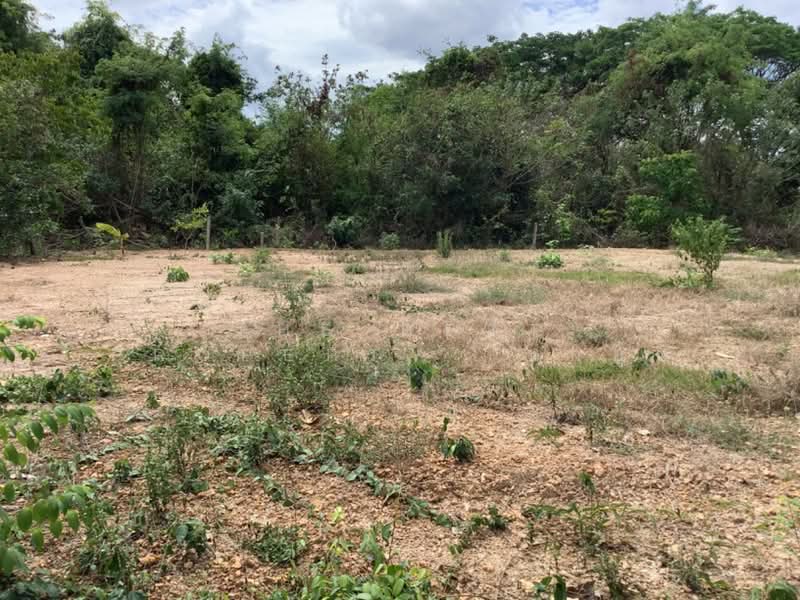 ที่ดินท่าเสา อุตรดิตถ์, Uttaradit, Tha Sao, Muang Uttaradit, Uttaradit, , 2,400 sqm, Land For Sale, by The Best Property  นกยูง, 500338641 - DDproperty.com