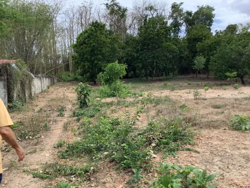 ที่ดินท่าเสา อุตรดิตถ์, Uttaradit, Tha Sao, Muang Uttaradit, Uttaradit, , 2,400 sqm, Land For Sale, by The Best Property  นกยูง, 500338641 - DDproperty.com