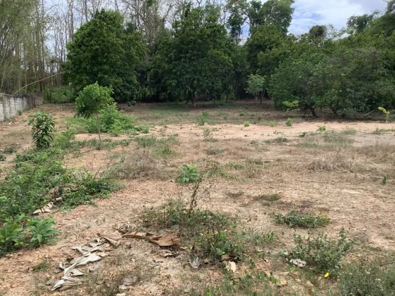 ที่ดินท่าเสา อุตรดิตถ์, Uttaradit, Tha Sao, Muang Uttaradit, Uttaradit, , 2,400 sqm, Land For Sale, by The Best Property  นกยูง, 500338641 - DDproperty.com