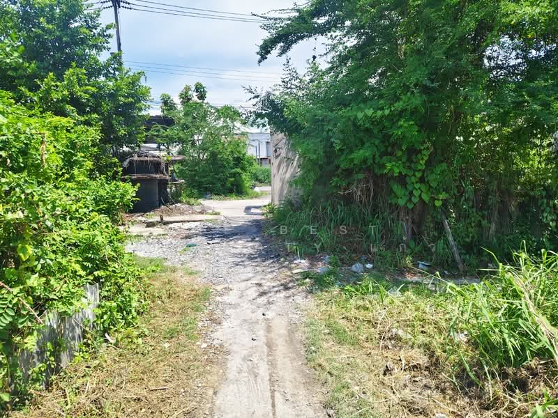 ที่ดินหน้าเมือง ฉะเชิงเทรา, Chachoengsao, Nha Mueng, Muang Chachoengsao, Chachoengsao, , 548 sqm, Land For Sale, by The Best Property แก้ว, 500338644 - DDproperty.com