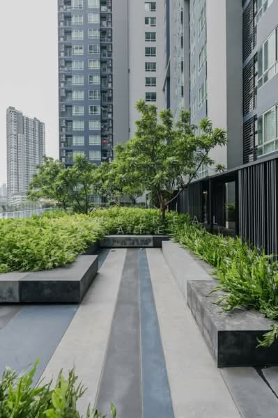The Base Sukhumvit 77 : เดอะ เบส สุขุมวิท 77, กรุงเทพ, 289 ถนนสุขุมวิท 77, พระโขนงเหนือ, วัฒนา, กรุงเทพ, 30 ตร.ม., คอนโด ขาย, โดย HOME Real Estate Service, 500338660 - DDproperty.com