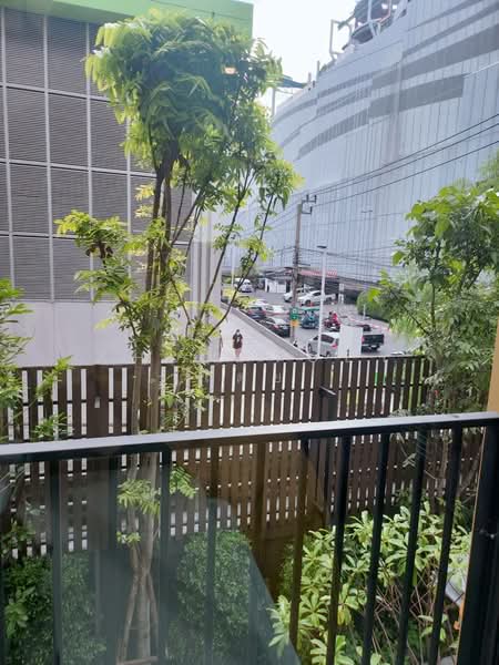 NUE Noble Centre Bangna, Bangkok, Bangna-Trad Road, Bang Na, Bangkok, 1 Bedroom, 28 sqm, Condo For Rent, by Khun Toey เตย, 500338830 - DDproperty.com