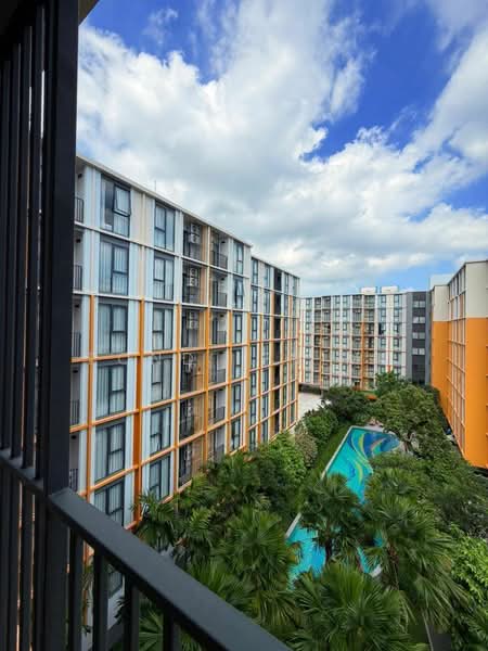 The Base Rise, ภูเก็ต, วิชิต, เมืองภูเก็ต, ภูเก็ต, 32 ตร.ม., คอนโด ให้เช่า, โดย Pond Prime, 500339029 - DDproperty.com