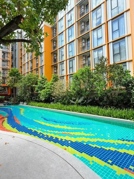 The Base Rise, Phuket, Wichit, Muang Phuket, Phuket, 1 Bedroom, 32 sqm, Condo For Rent, by Pond Prime, 500339029 - DDproperty.com