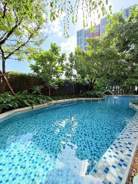 The Base Bukit Phuket : เดอะ เบส บูกิต, ภูเก็ต, 12 ถ.วิชิตสงคราม, วิชิต, เมืองภูเก็ต, ภูเก็ต, 35 ตร.ม., คอนโด ให้เช่า, โดย Pond Prime, 500339045 - DDproperty.com