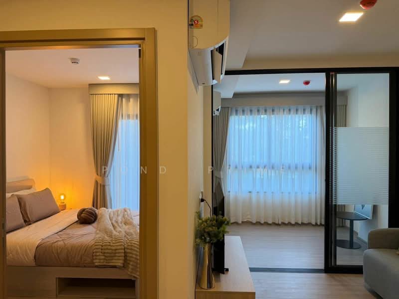 The Base Bukit Phuket, Phuket, 12 Vichitsongkram Rd, Wichit, Muang Phuket, Phuket, 2 Bedrooms, 35 sqm, Condo For Rent, by Pond  Prime, 500339045 - DDproperty.com