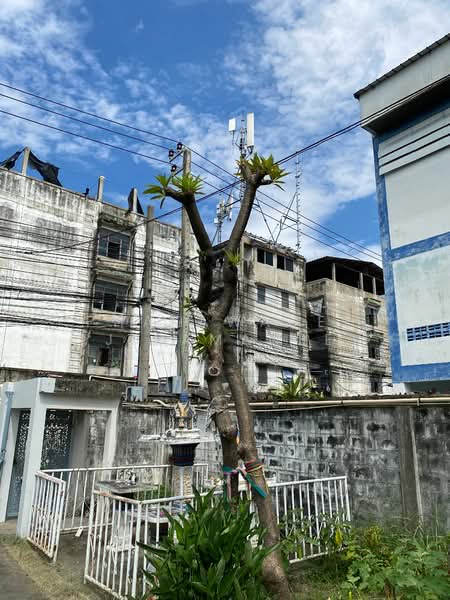 3-BR House, Bangkok, Bang Na Tai, Bang Na, Bangkok, 3 Bedrooms, 204 sqm, Single Detached House For Sale, by Phakawadee Jiramanee, 500339395 - DDproperty.com