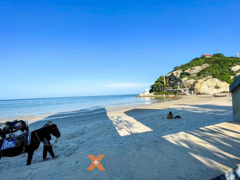 หัวหิน, ประจวบคีรีขันธ์, หนองแก, หัวหิน, ประจวบคีรีขันธ์, 220 ตร.ม., ทาวน์เฮ้าส์ ขาย, โดย Kamonwan Netsung, 500339511 - DDproperty.com